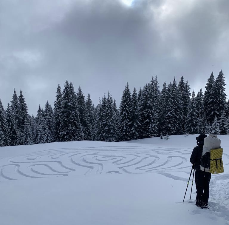 Schneeschuhtour über ein verschneites Feld am Waldrand